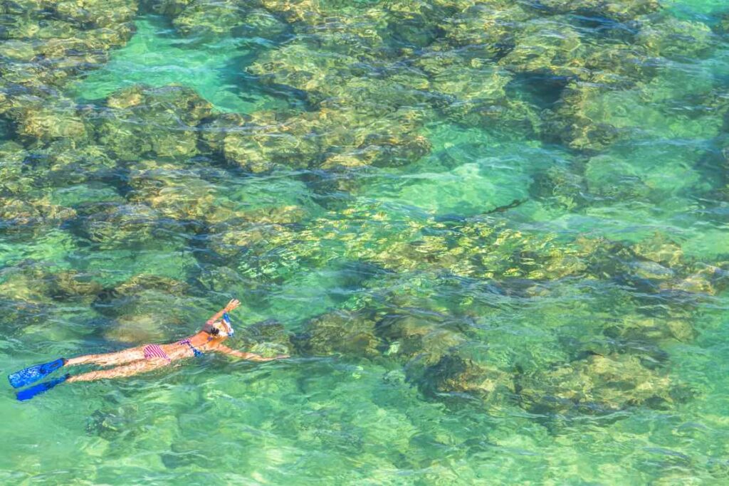 A woman with blue fins wearing a bikini snorkeling over the coral reef in the clear blue waters of hanauma bay