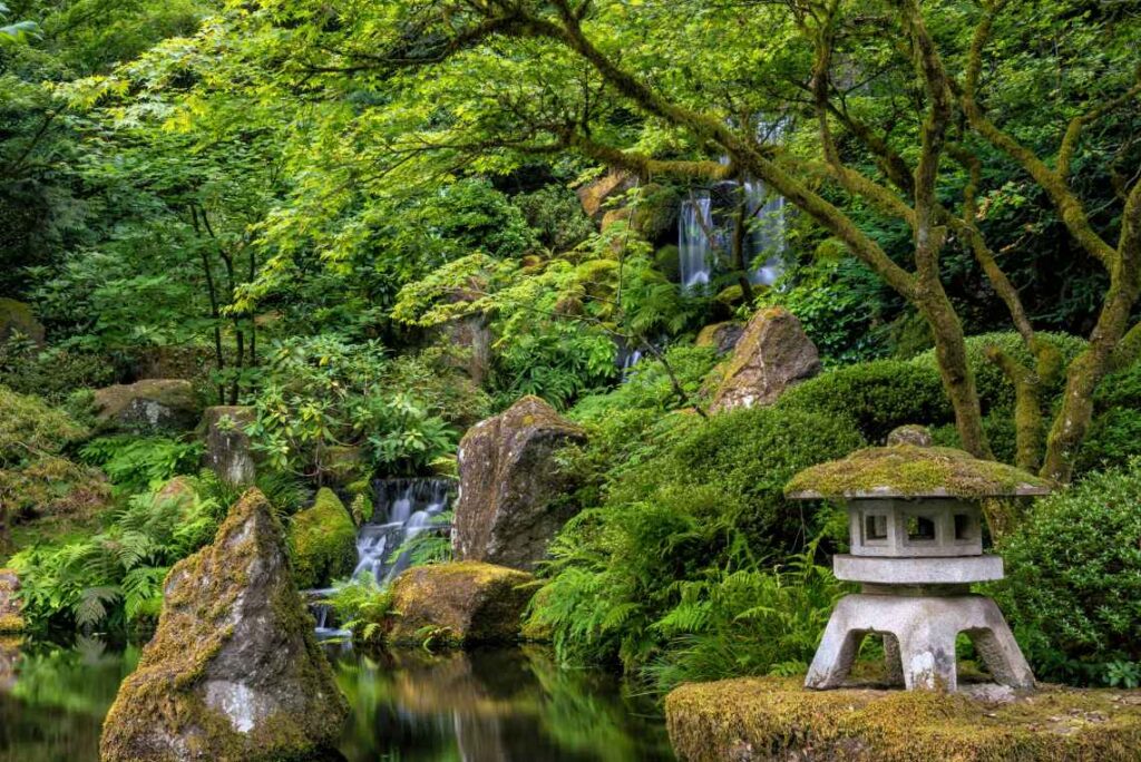 lush green japanese-style garden in portland with a waterfall and pond with rocks