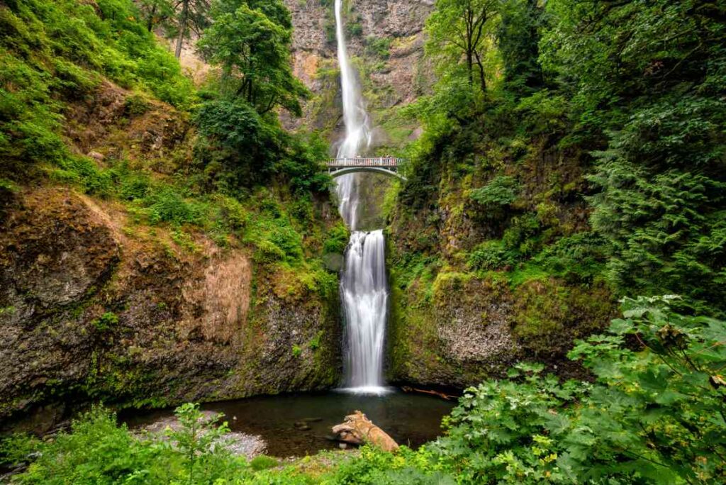 multnomah falls amid lush greenery with a bridge above ad a pool below