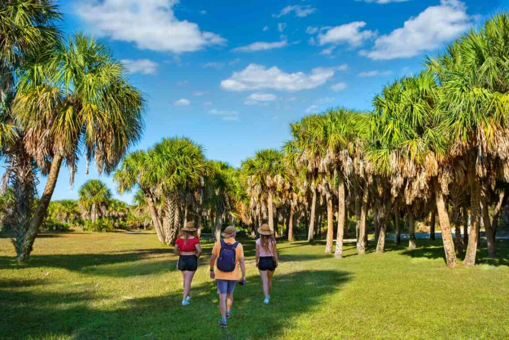 man and 2 women wearing hats and walking on green grass toward palm trees on a bright sunny say