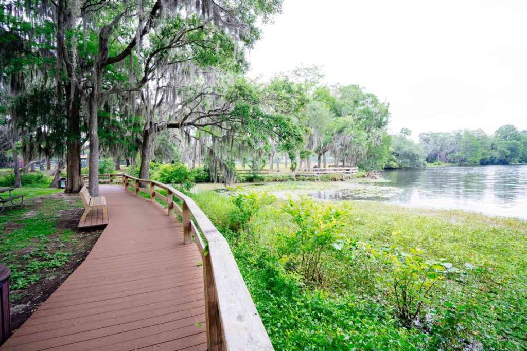 wooden pathway with railing above swampy terrain and a pond, with plenty of trees and wooden benches