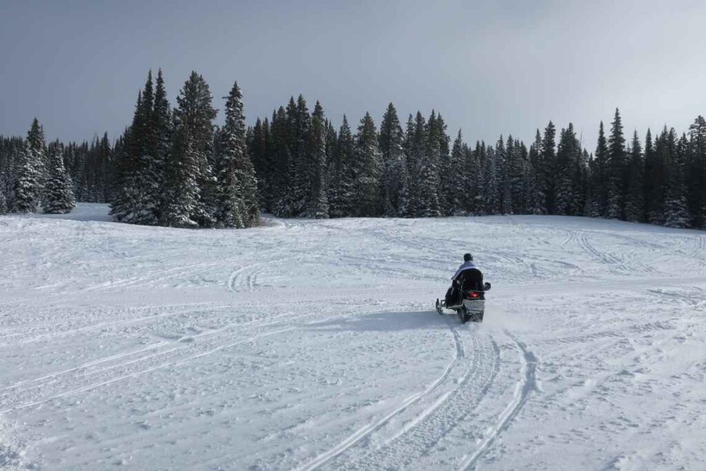 lone person on a snowmobile riding on a field of snow towards pine trees