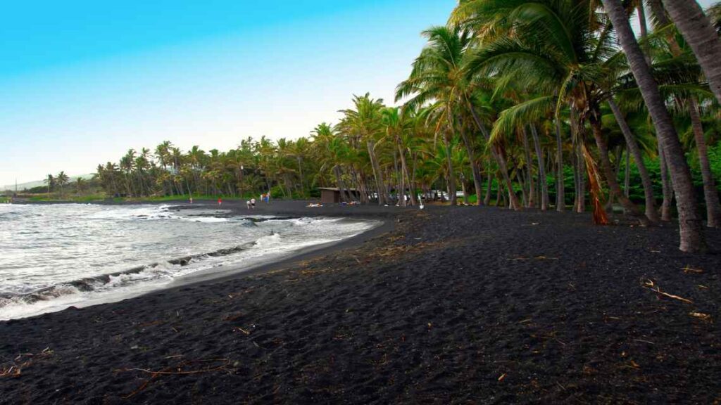 black sand of punaluu beach with palm trees and waves