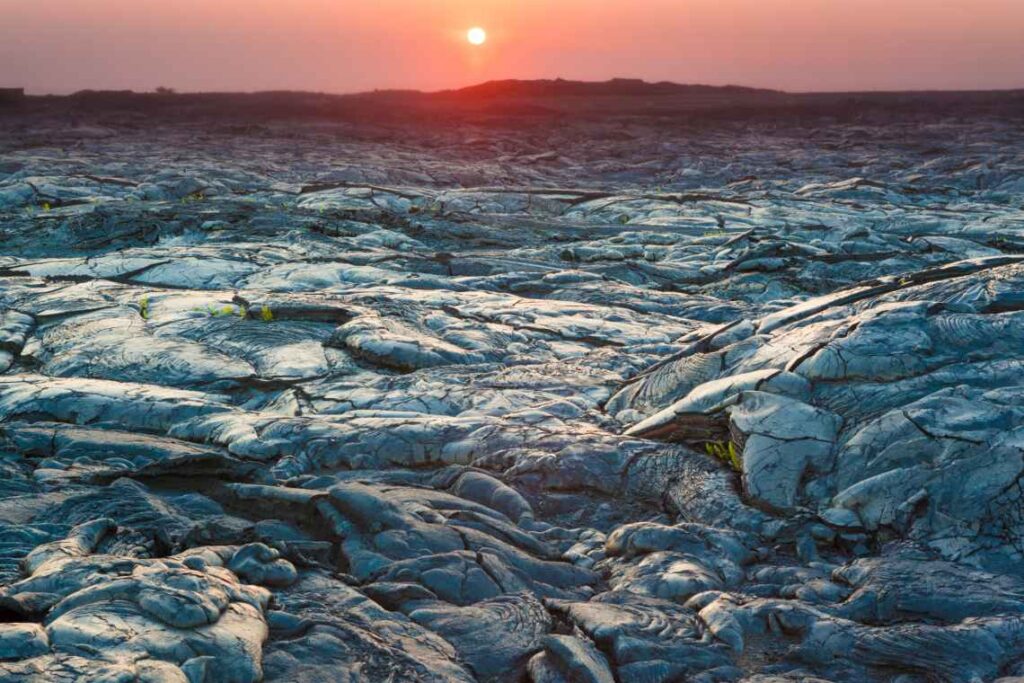 black field of hardened lava at sunset