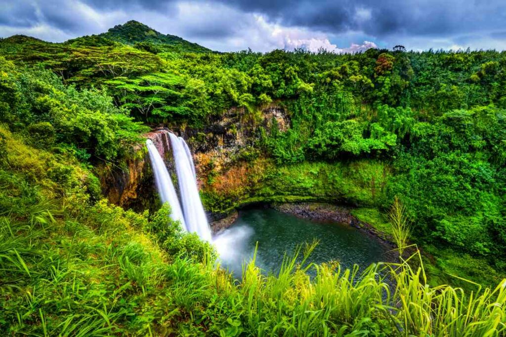 waterfalls plunging from a height into a pool, surrounded by greenery