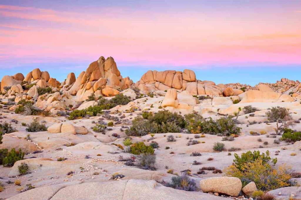tan rock formations at sunrise in joshua tree national park in the mojave desert