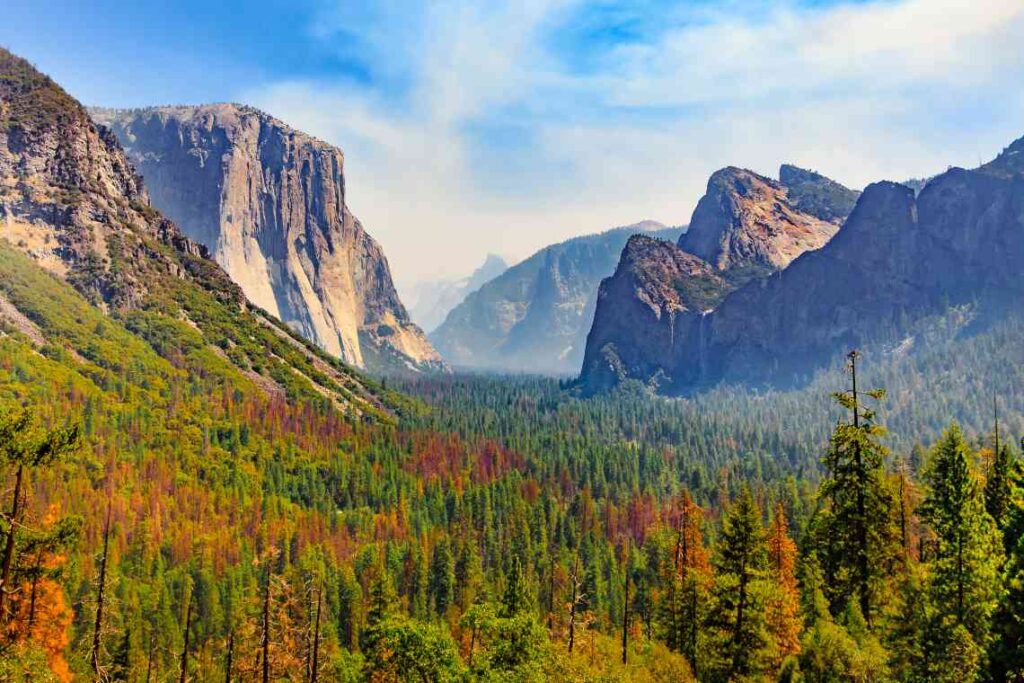 A view of trees in the Yosemite Valley with rock formations rising on either side