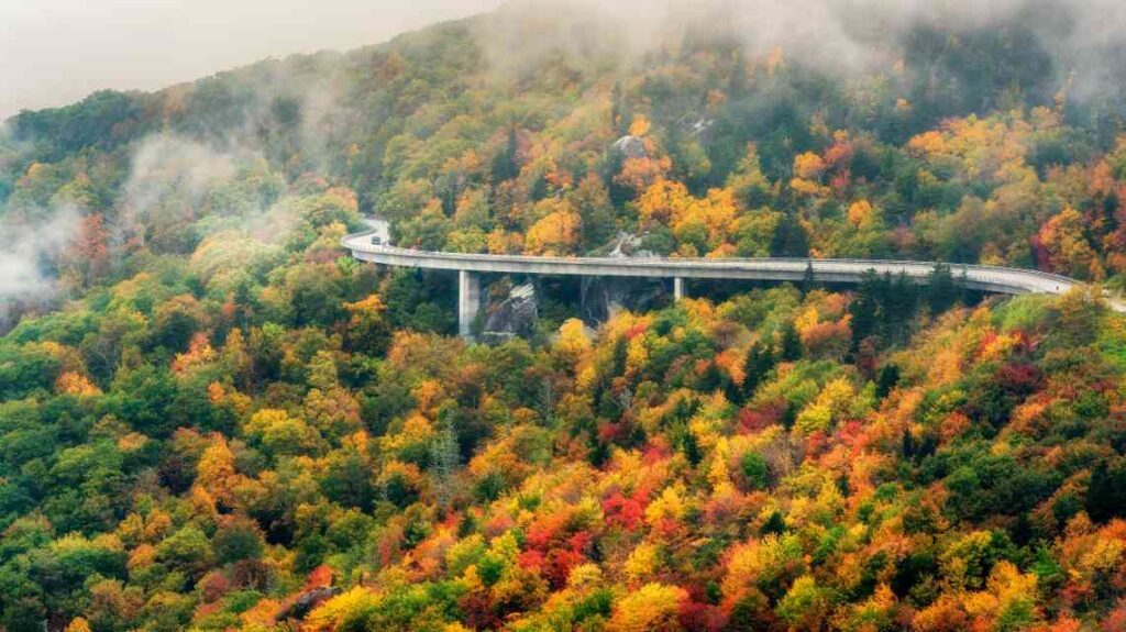 raised section of the blue ridge parkway going alongside a mountain covered in multicolored trees in autumn with fog