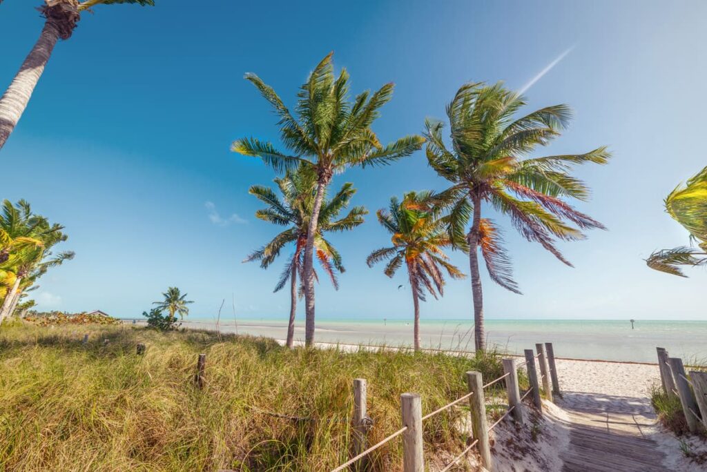 Smathers Beach Florida Key West Palm trees