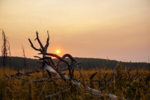 Your Ultimate Guide to Watching the Sunset at Yellowstone National Park