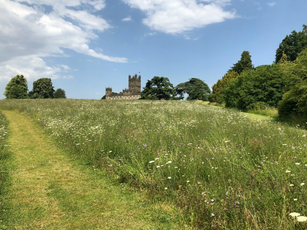 A castle by a green field during daytime in Highclere.