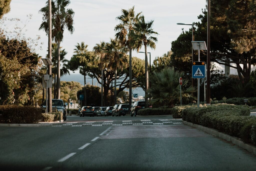 Street leading down to the beach in Vale do Lobo, Algarve, Portugal, lined with palm trees.