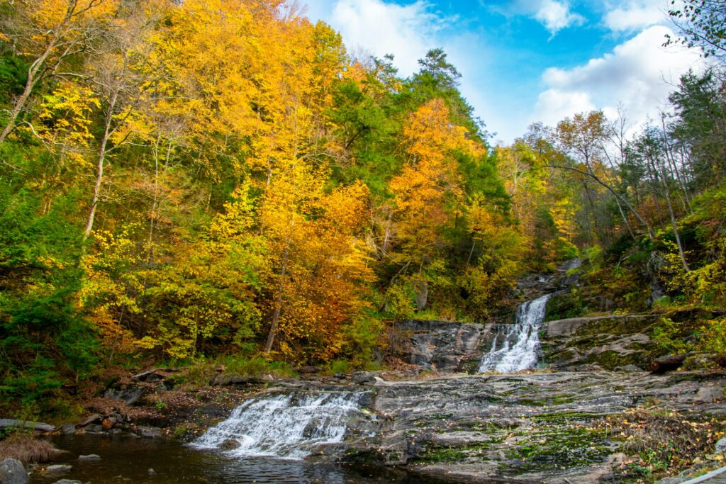 Waterfalls in the middle of yellow and green trees under blue sky and white clouds at Nipmuck State Forest
