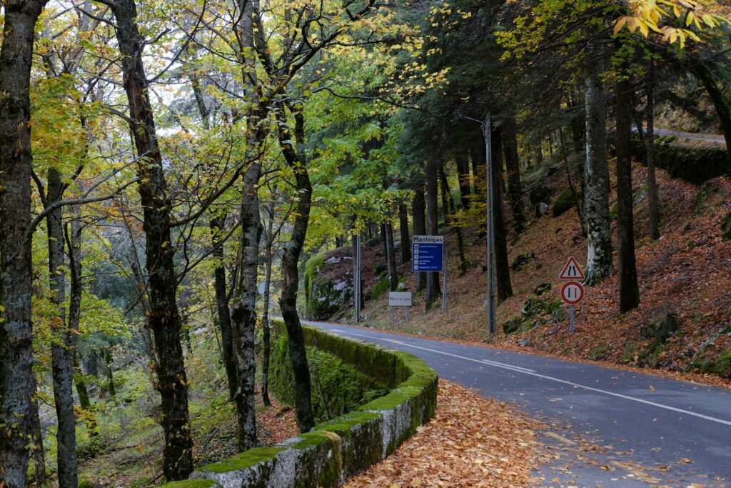 Green trees beside a gray concrete pathway in Manteigas, Portugal.