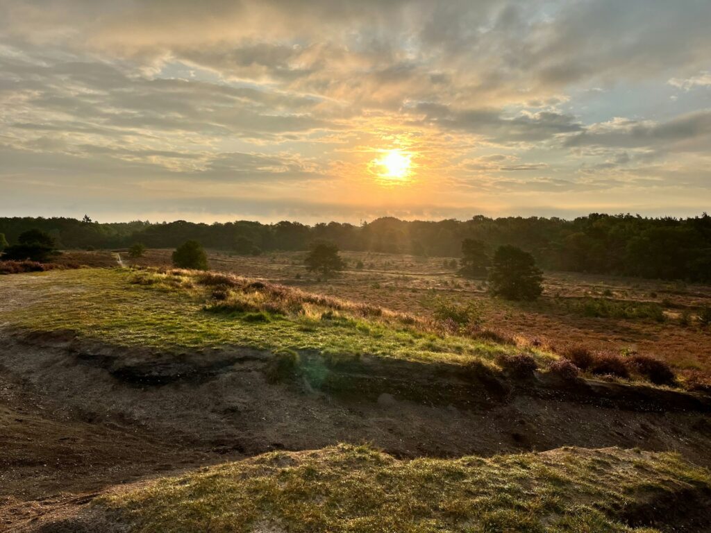 The sun sets over a grassy heathland during golden hour in Veluwe, Netherlands.