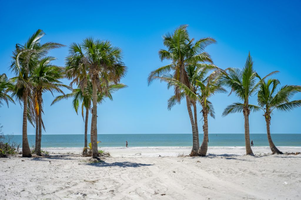 A palm-lined Naples Beach with a person walking in the distance.