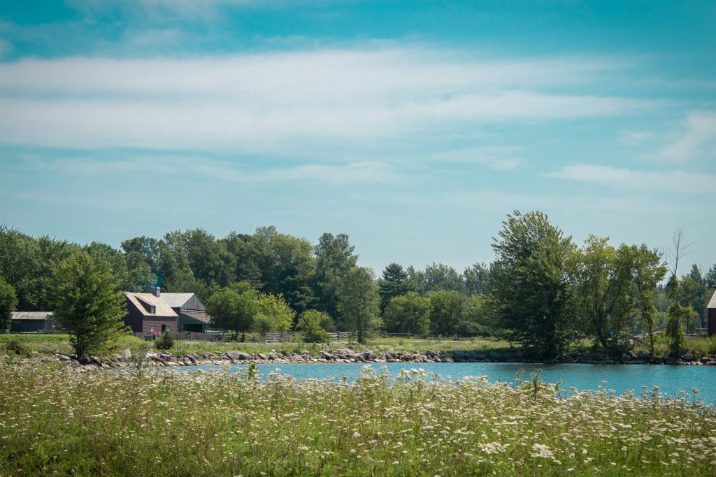 : A serene lakeside view with wildflowers, trees, and historic buildings at Upper Canada Village, Ontario.
