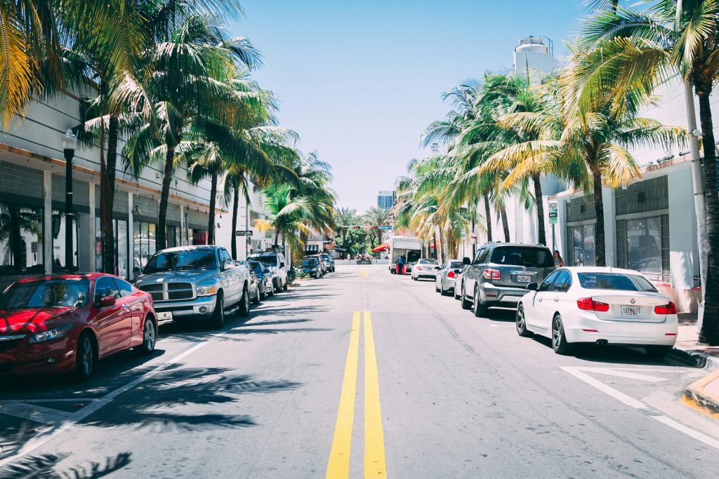 Cars parked on a sunny palm-lined street.
