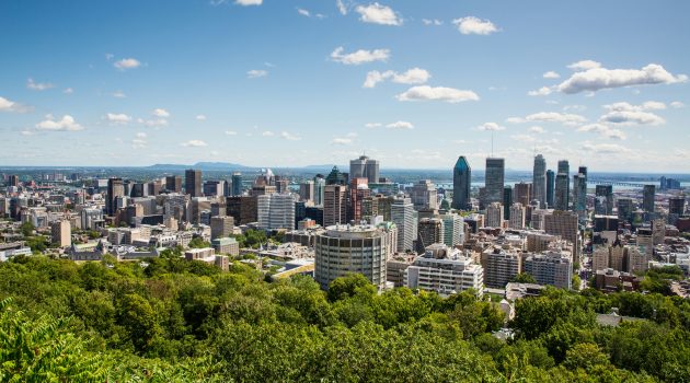 Panoramic view of Montreal's skyline seen from Mont Royal, with green trees in the foreground.