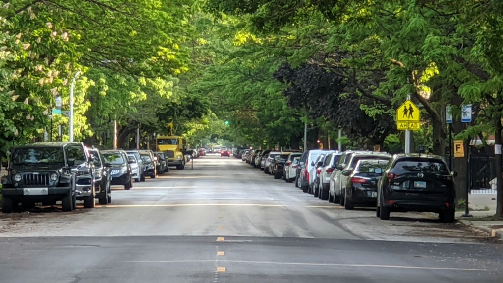 Tree-lined street with cars parked on both sides in a residential neighborhood.