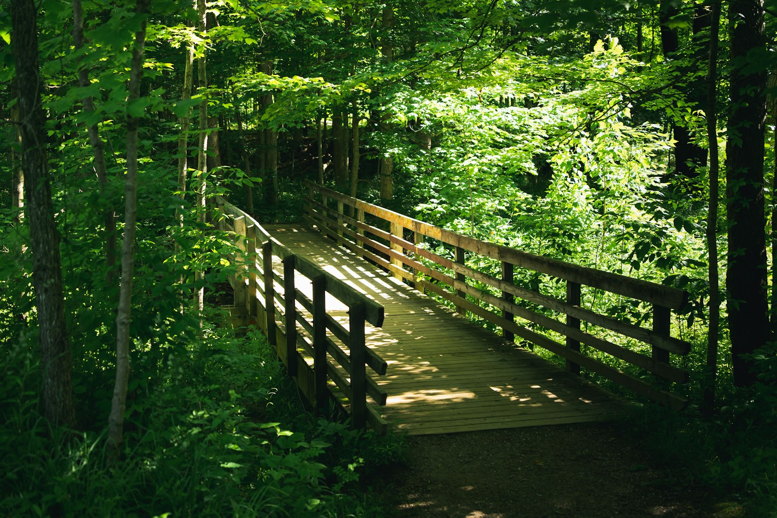 A wooden footbridge crossing through dense forest in Cuyahoga Valley National Park