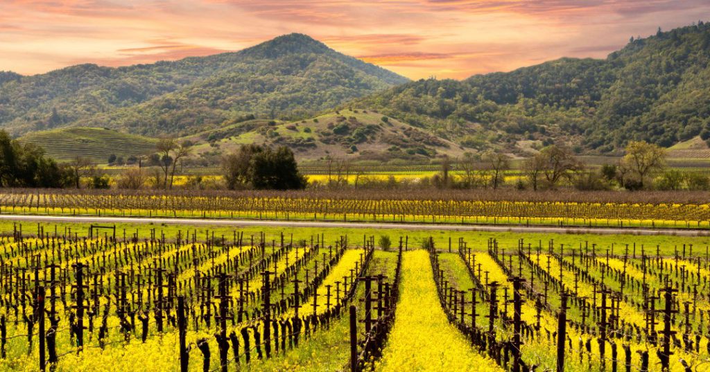 10 Best San Francisco Road Trips SIXT rent a car Magazine