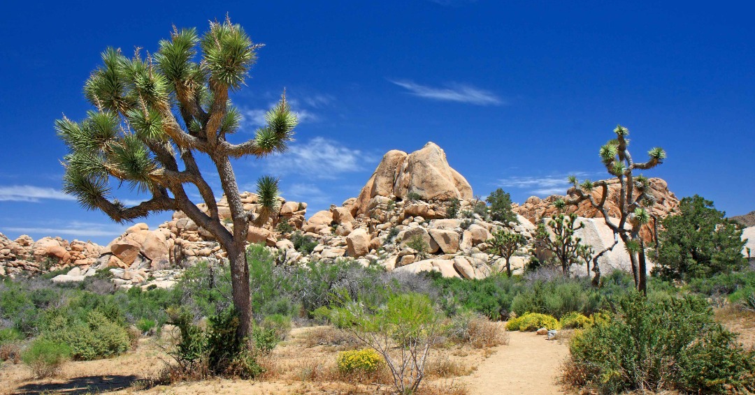 10 Best Road Trips from San Diego SIXT rent a car Magazine